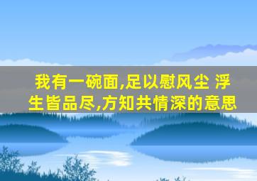 我有一碗面,足以慰风尘 浮生皆品尽,方知共情深的意思